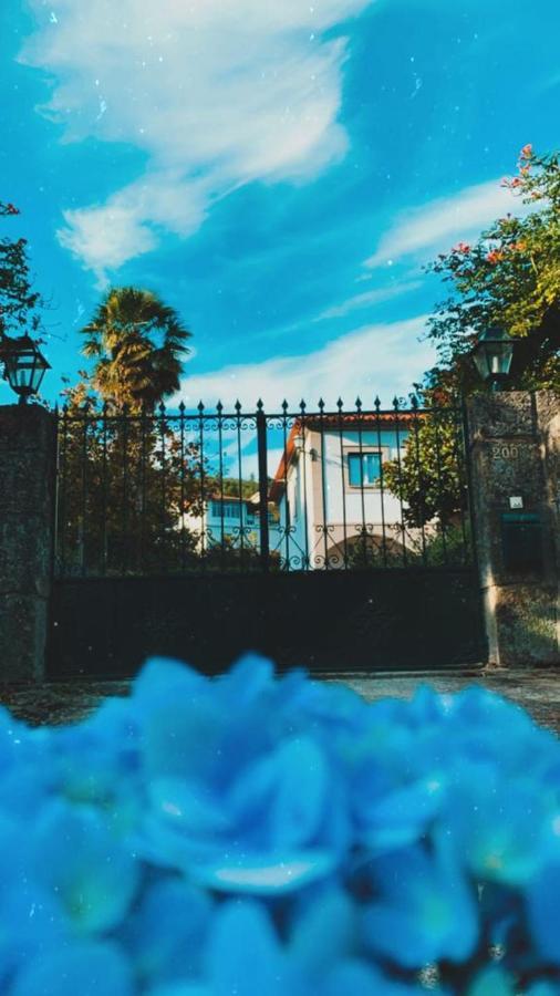 The River House - Termas Guesthouse Termas de Sao Pedro do Sul Εξωτερικό φωτογραφία