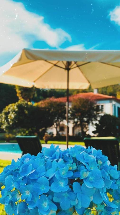 The River House - Termas Guesthouse Termas de Sao Pedro do Sul Εξωτερικό φωτογραφία