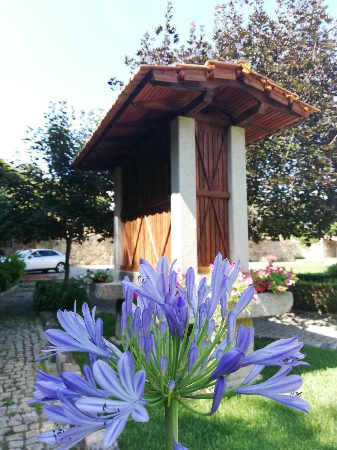 The River House - Termas Guesthouse Termas de Sao Pedro do Sul Εξωτερικό φωτογραφία